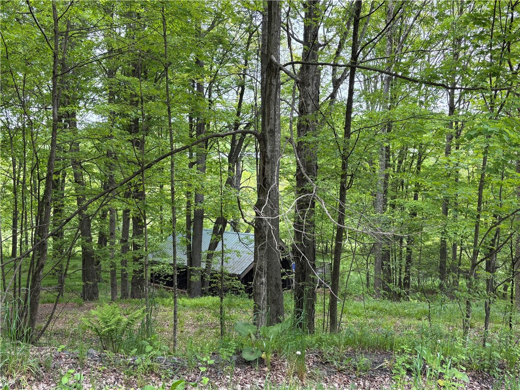 1294 Peters Road, Harpersfield, New York image 18