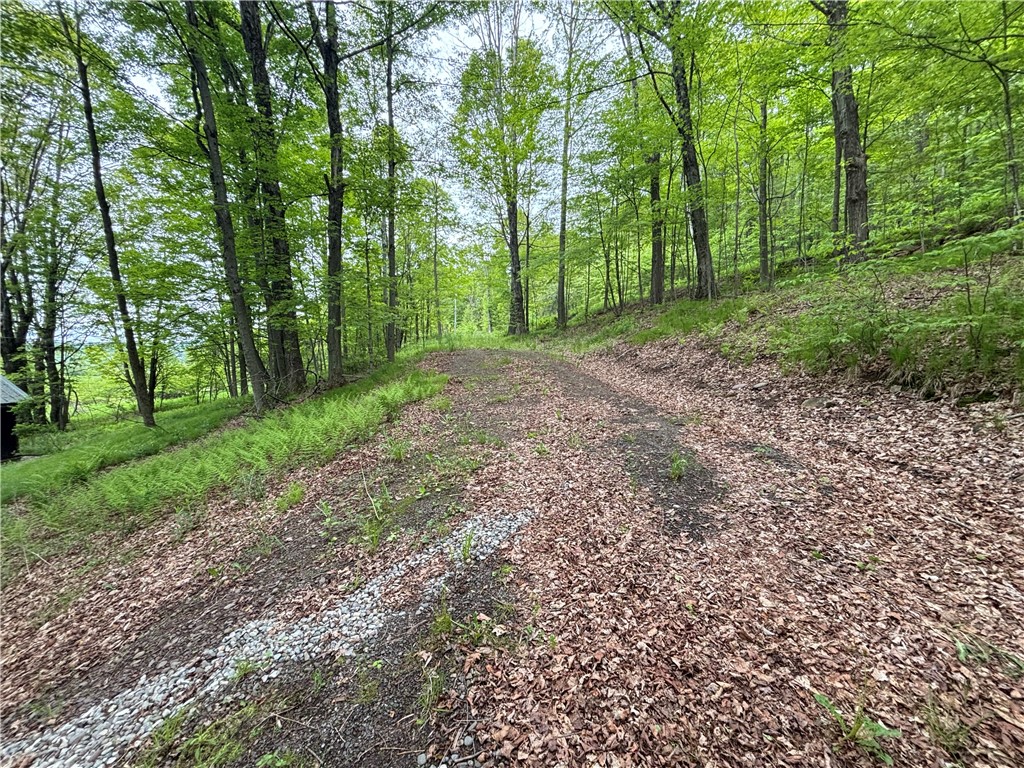 1294 Peters Road, Harpersfield, New York image 17
