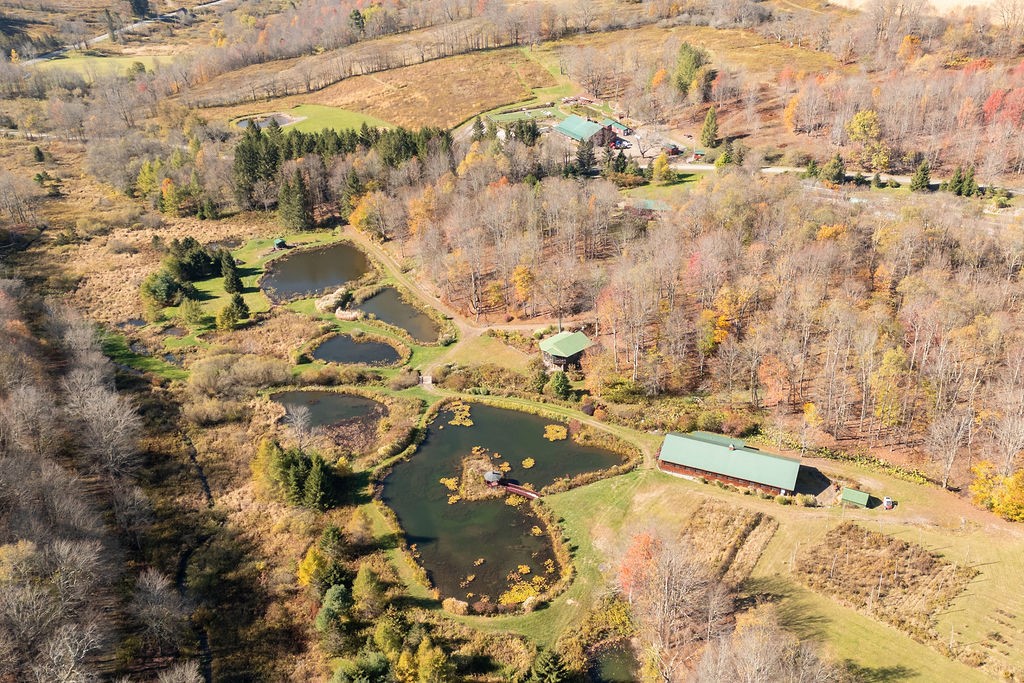 304 Sutherland Road #2