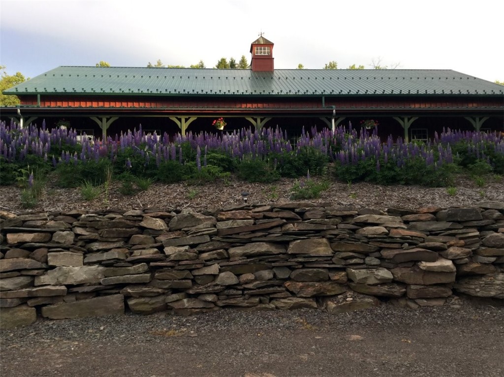 304 Sutherland Road #2