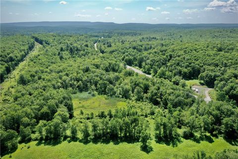 Vacant Land For Sale - Route 52<br/> Wawarsing, NY 12489