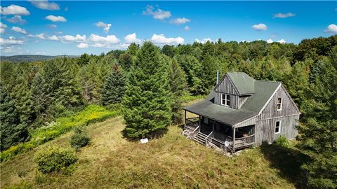  Newark Valley NY 13811