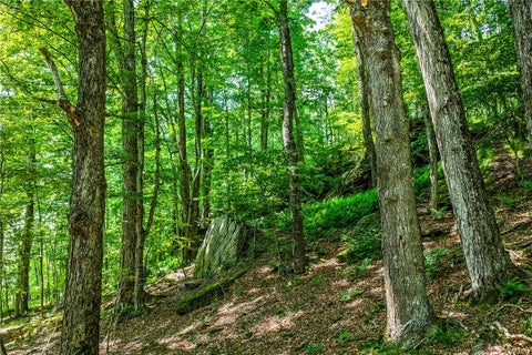 Tiny photo for 61 Fusco Drive, Harpersfield, NY 12093 (MLS # R1692262)