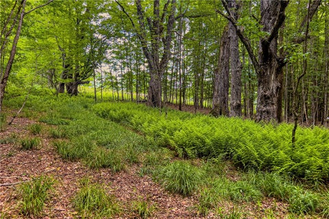 Tiny photo for 61 Fusco Drive, Harpersfield, NY 12093 (MLS # R1692262)