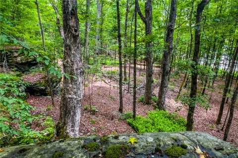 Tiny photo for 61 Fusco Drive, Harpersfield, NY 12093 (MLS # R1692262)