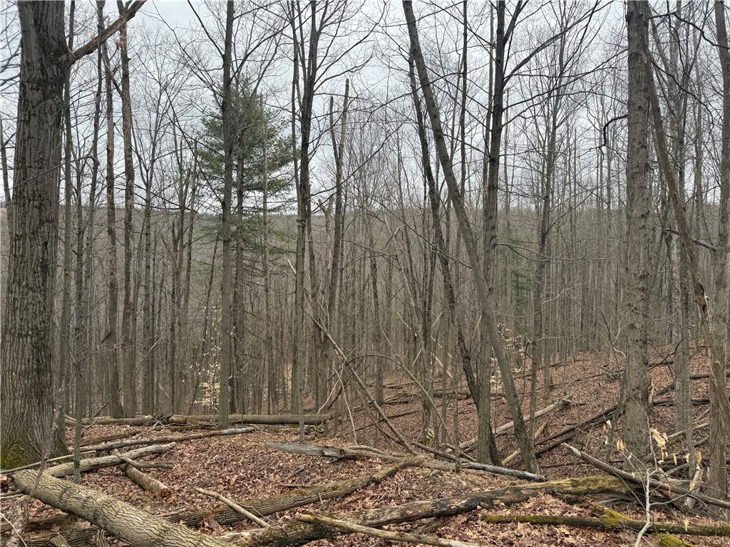 Winding stair road