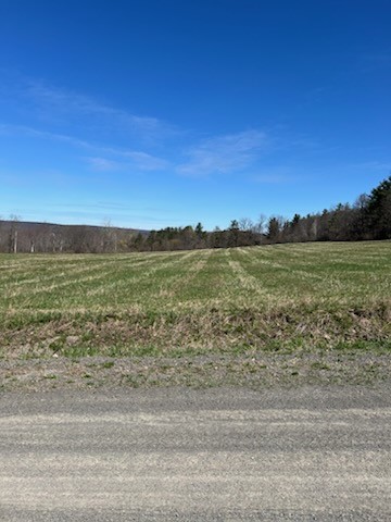 3709 Dean Rd Rd, Hector, New York image 39