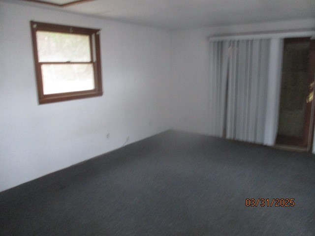 3709 Dean Rd Rd, Hector, New York image 13