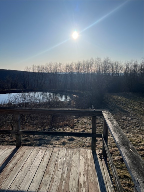 3709 Dean Rd Rd, Hector, New York image 3