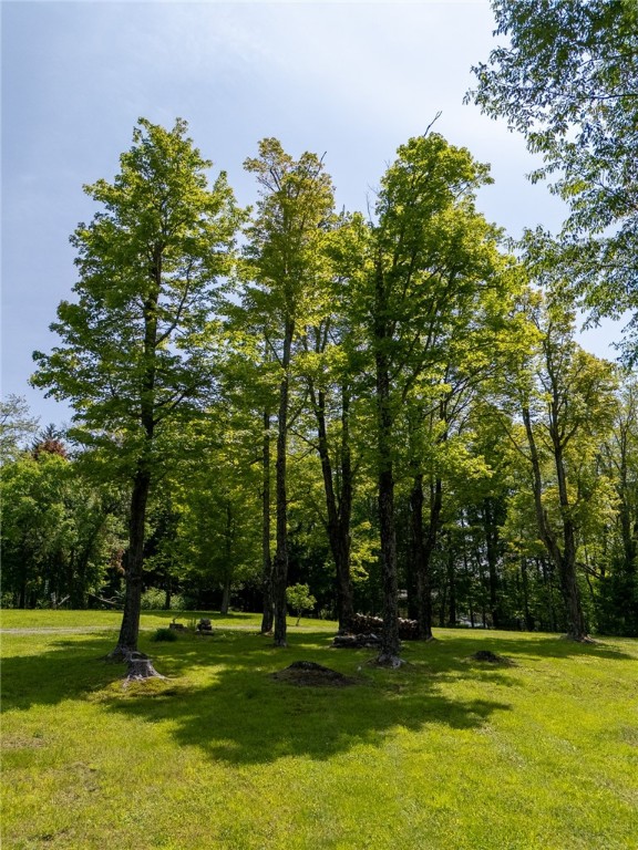 8 Van Dyke Avenue, Harpersfield, New York image 36