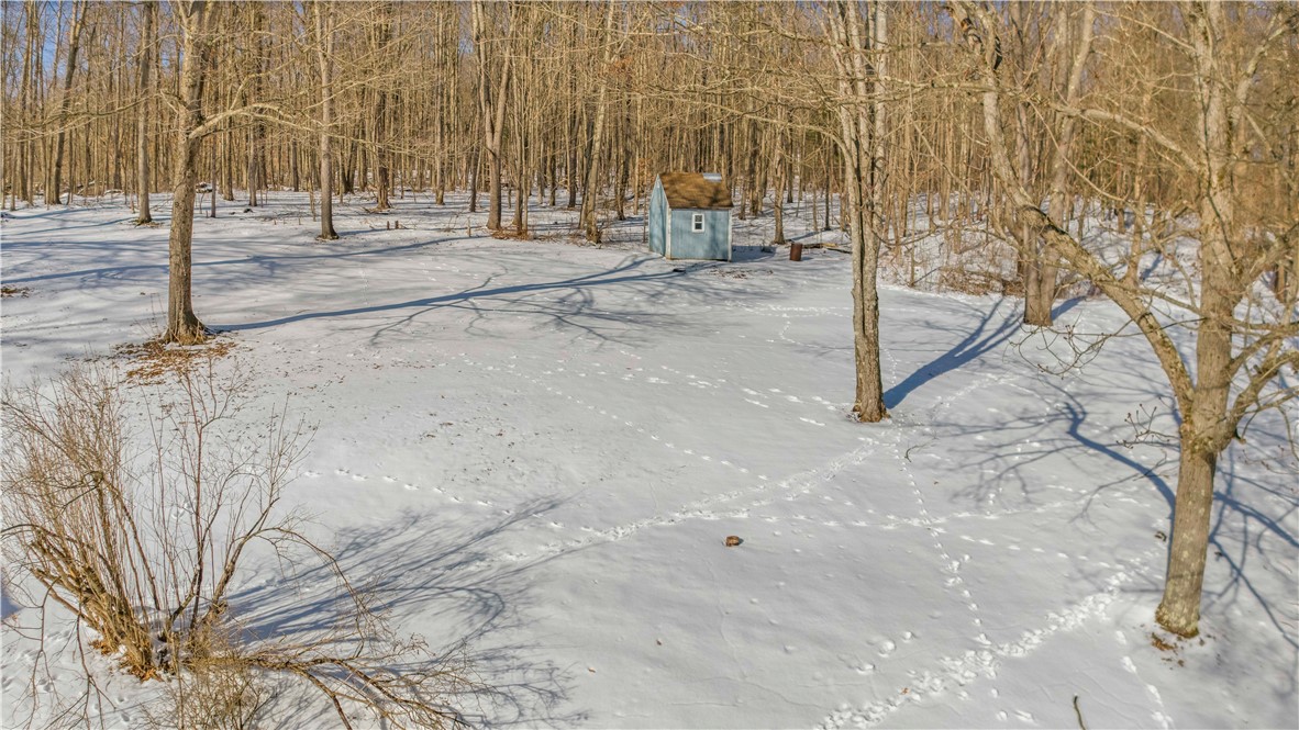 419 Algerine Street, Afton, New York image 44