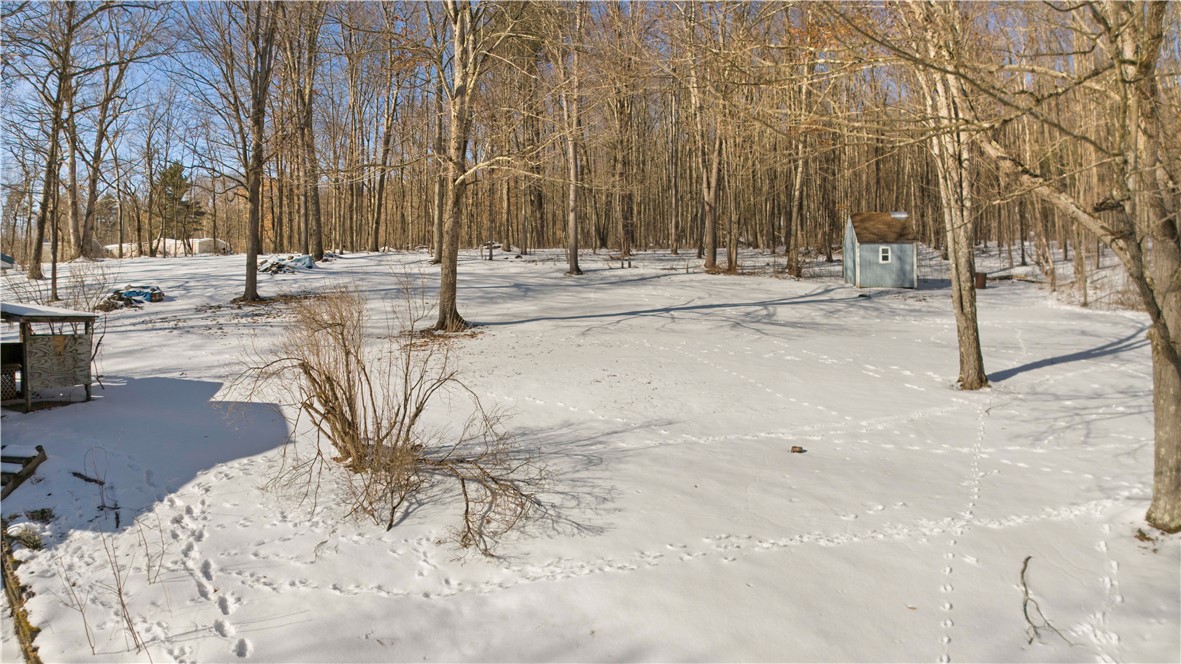 419 Algerine Street, Afton, New York image 45