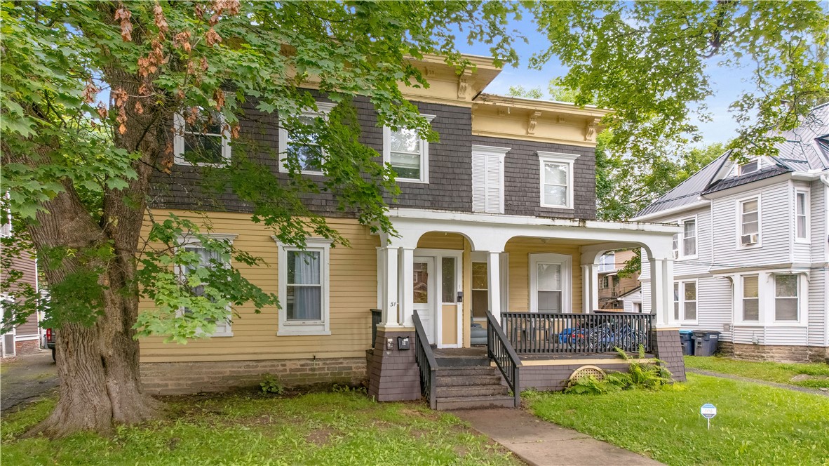 31 Cedar Street