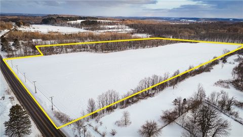 Vacant Land For Sale - 13108 Ridge Road<br/> Wayne County, Wolcott, NY 14590