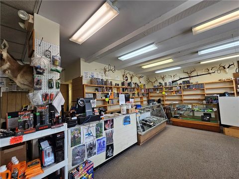 Tiny photo for 367 W Morris Street, Bath, NY 14810 (MLS # R1655405)