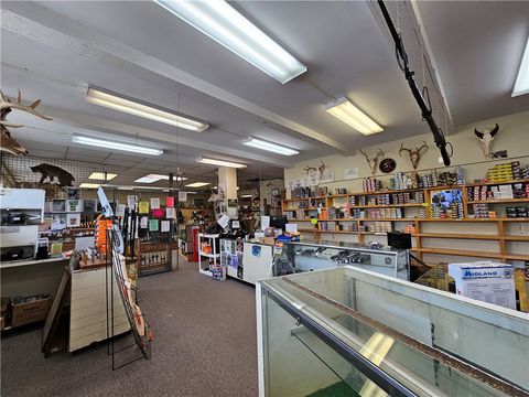 Tiny photo for 367 W Morris Street, Bath, NY 14810 (MLS # R1655405)