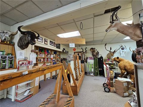 Tiny photo for 367 W Morris Street, Bath, NY 14810 (MLS # R1655405)