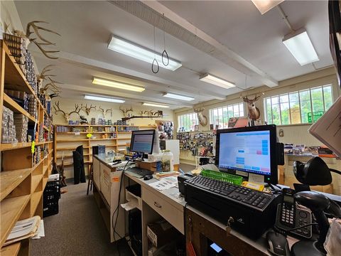 Tiny photo for 367 W Morris Street, Bath, NY 14810 (MLS # R1655405)