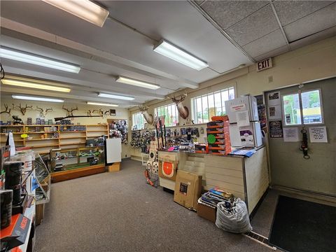 Tiny photo for 367 W Morris Street, Bath, NY 14810 (MLS # R1655405)