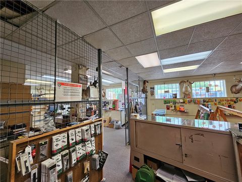 Tiny photo for 367 W Morris Street, Bath, NY 14810 (MLS # R1655405)