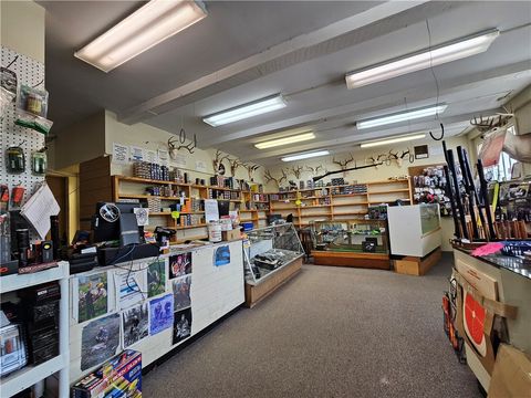 Tiny photo for 367 W Morris Street, Bath, NY 14810 (MLS # R1655405)