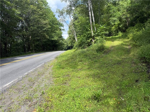 Photo of County Highway 48, Oneonta, NY 13820 (MLS # R1709152)