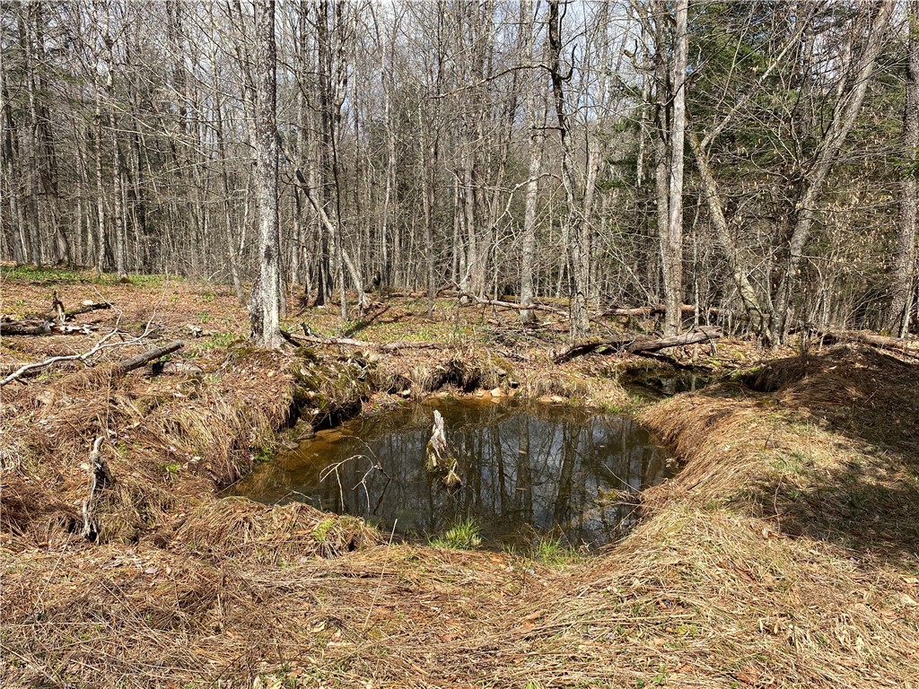 Methol Road, Hancock, New York image 5