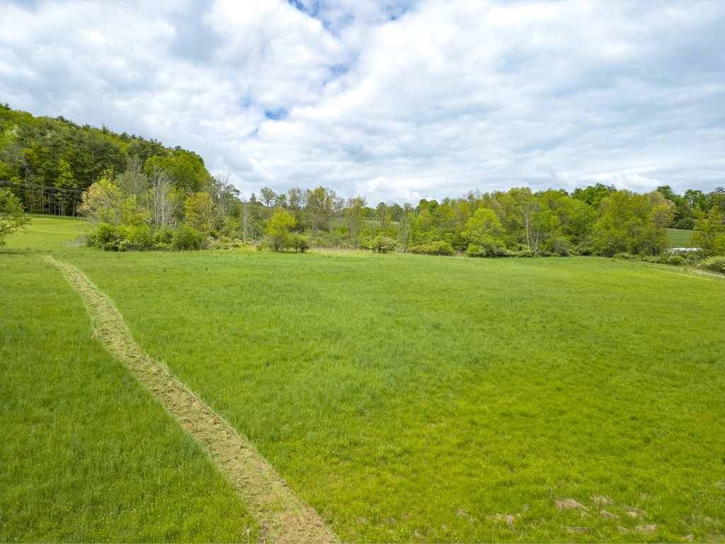 Lot A Buckwheat Hollow, Lawrence, Pennsylvania image 13