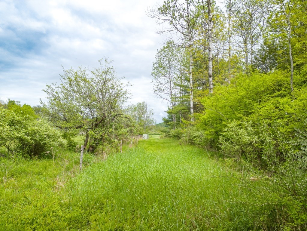 Lot A Buckwheat Hollow, Lawrence, Pennsylvania image 8
