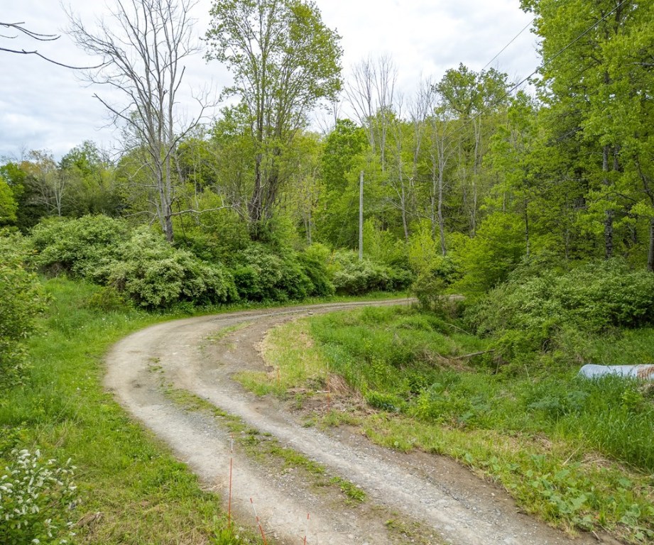 Lot A Buckwheat Hollow, Lawrence, Pennsylvania image 6