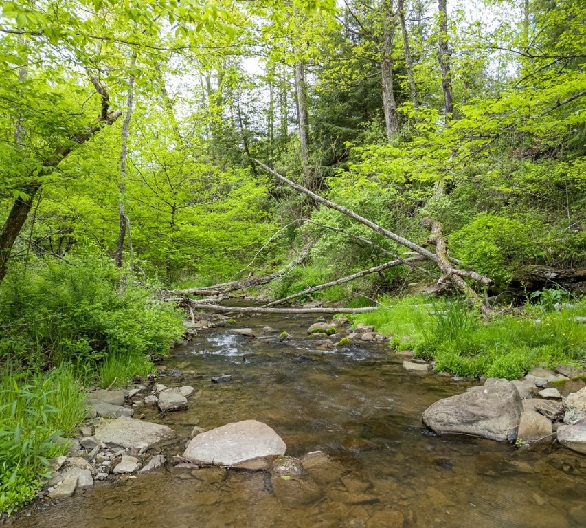Lot A Buckwheat Hollow, Lawrence, Pennsylvania image 3