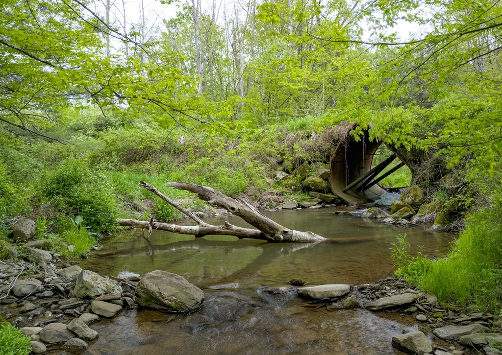 Lot A Buckwheat Hollow, Lawrence, Pennsylvania image 4