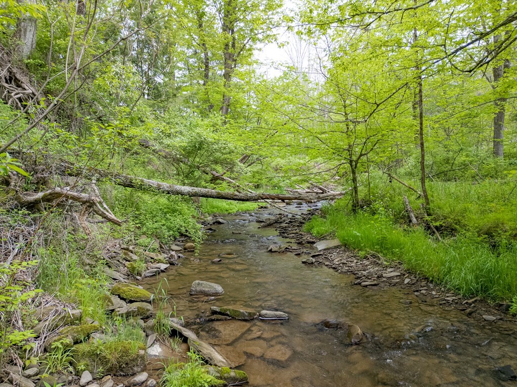 Lot A Buckwheat Hollow, Lawrence, Pennsylvania image 2