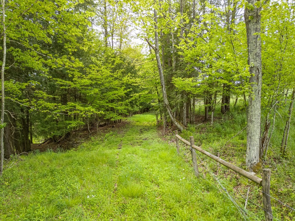 Lot A Buckwheat Hollow, Lawrence, Pennsylvania image 7