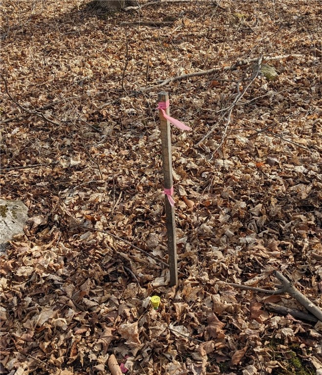 Ledyard, New York 13026, United States, ,Land,Pending,113809