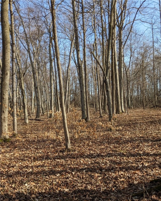 Ledyard, New York 13026, United States, ,Land,Pending,113809