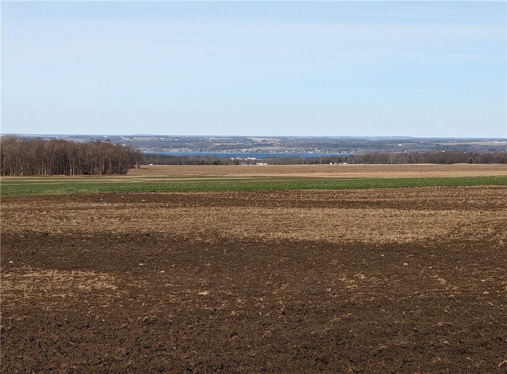 Ledyard, New York 13026, United States, ,Land,Pending,113809