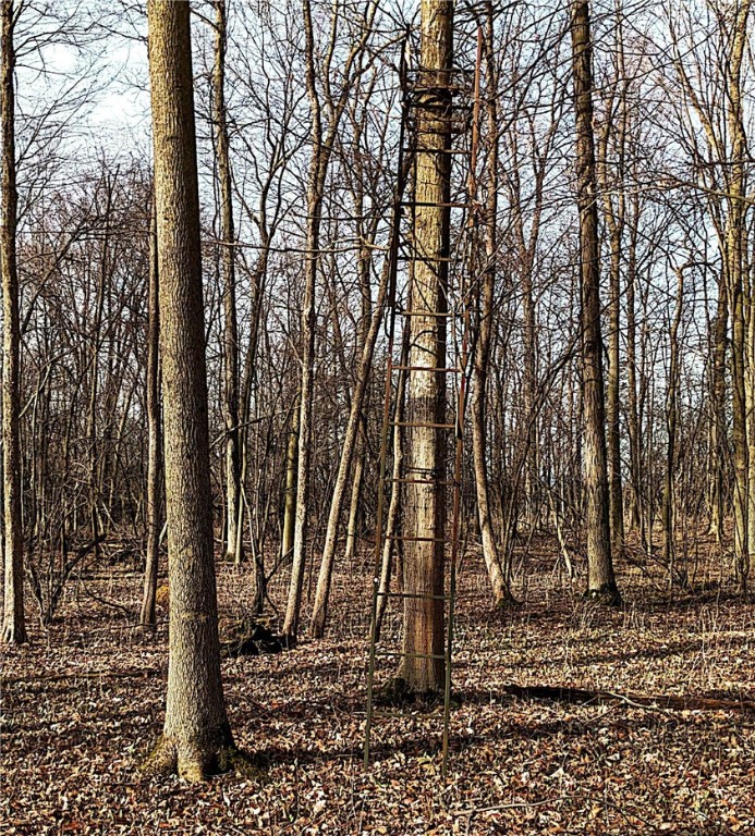 Ledyard, New York 13026, United States, ,Land,Pending,113809