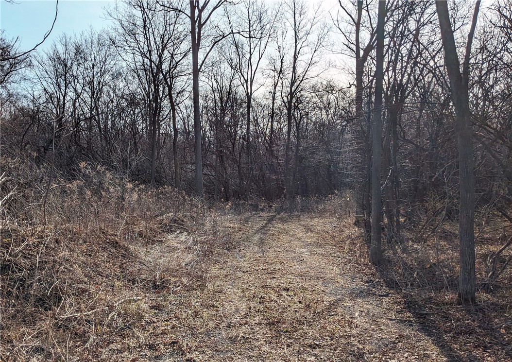 Ledyard, New York 13026, United States, ,Land,Pending,113809