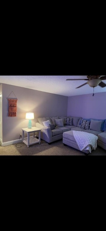 262 Pryor Avenue, Tonawanda, New York image 14
