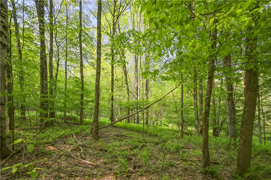 L22.22 Mud Road, Laurens, New York image 10