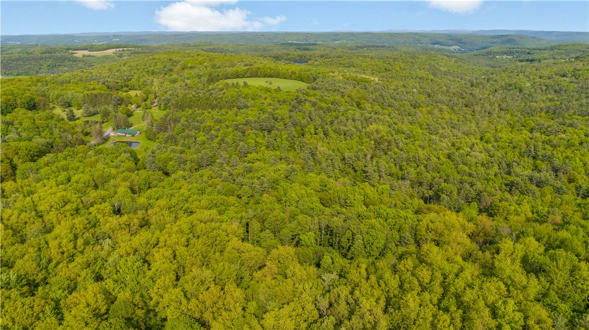 L22.22 Mud Road, Laurens, New York image 4
