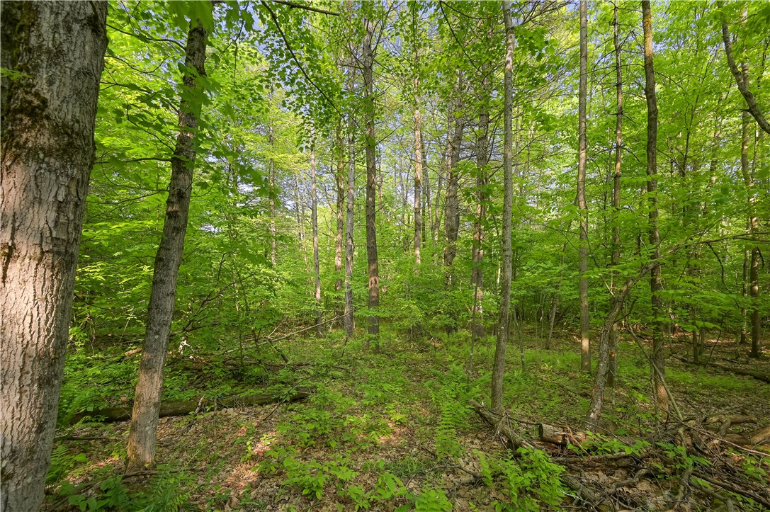 L22.22 Mud Road, Laurens, New York image 12