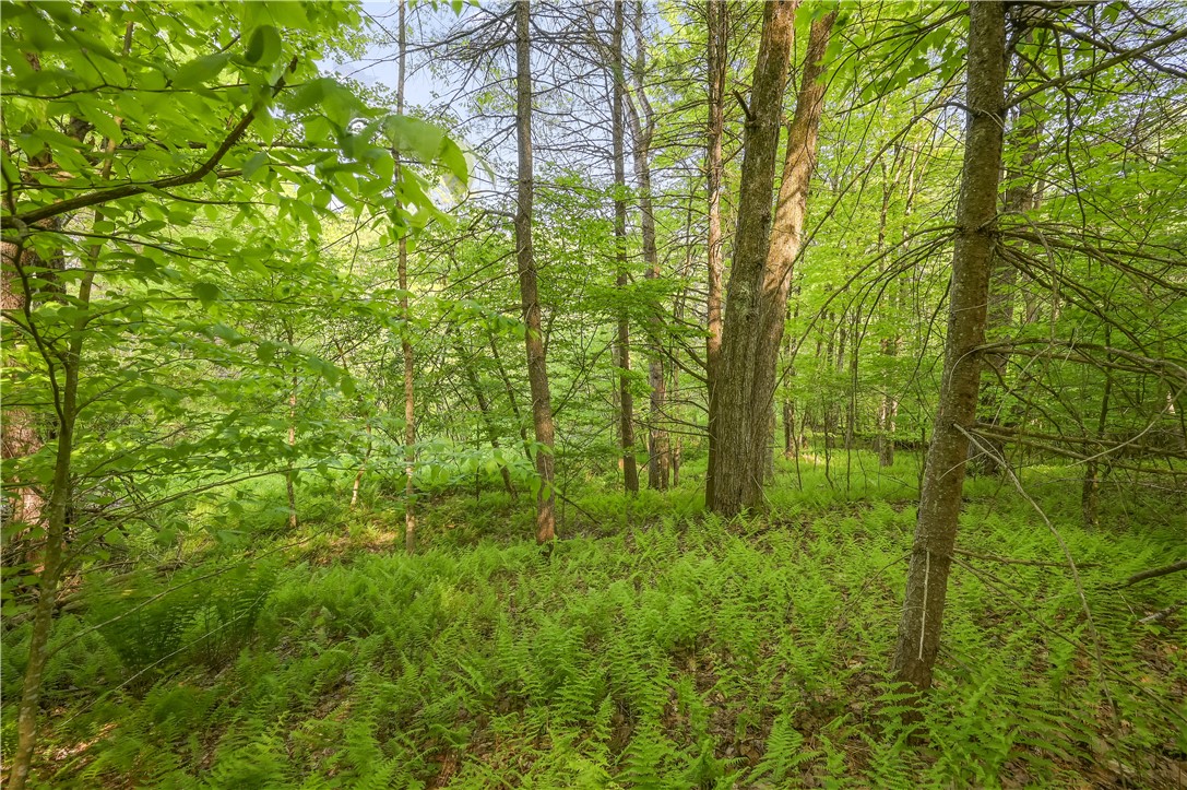 L22.22 Mud Road, Laurens, New York image 9