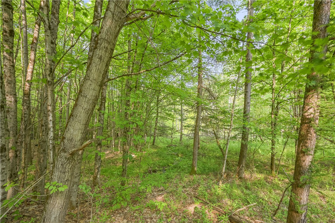 L22.22 Mud Road, Laurens, New York image 17