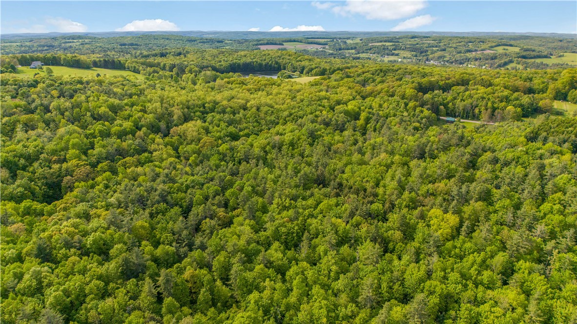 L22.22 Mud Road, Laurens, New York image 6