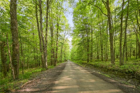 Photo for L22.22 Mud Road