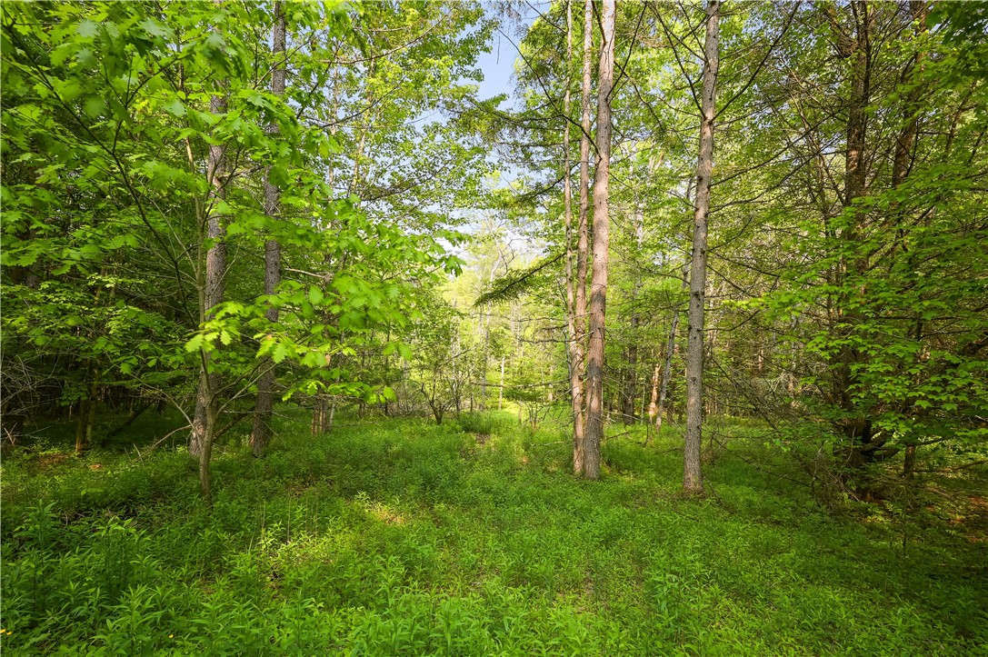 L22.22 Mud Road, Laurens, New York image 2