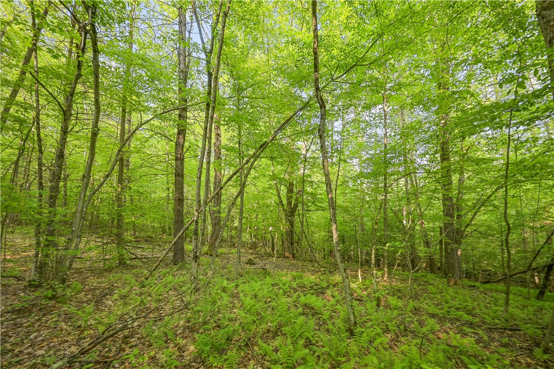 L22.22 Mud Road, Laurens, New York image 16
