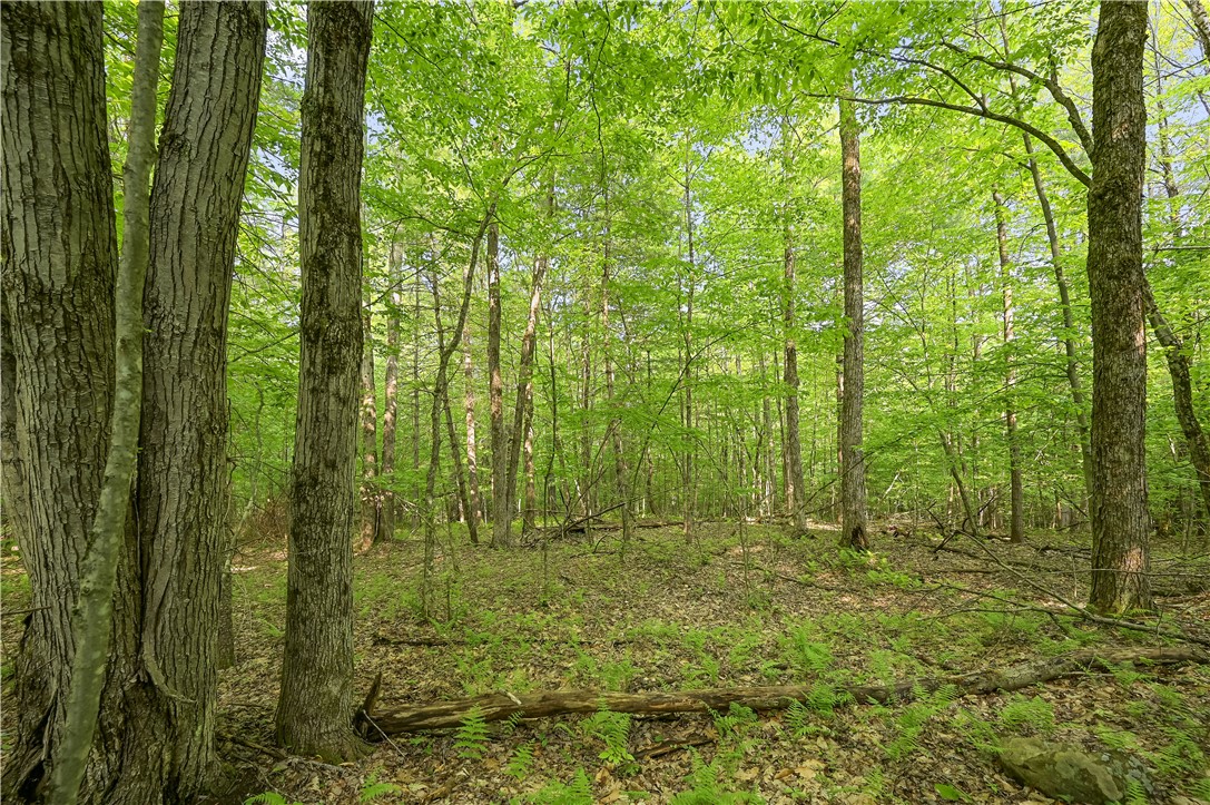 L22.22 Mud Road, Laurens, New York image 14